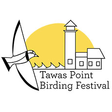 Tawas Point Birding Festival