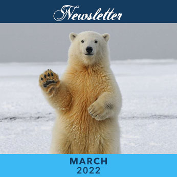 March 2022 Newsletter